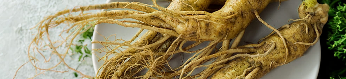 Ženšenis: kuo jis naudingas organizmui ir kaip jį vartoti?