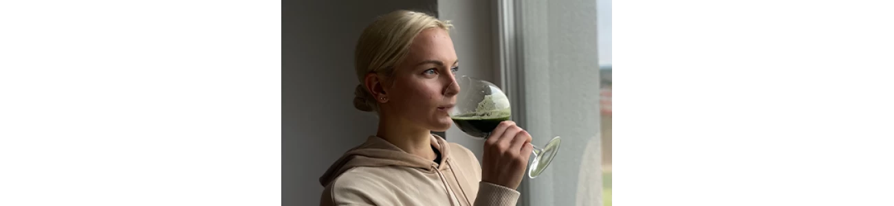 RECEPTAI SU SPIRULINA MILTELIAIS