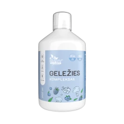 Geležies kompleksas, skystas maisto papildas, 500 ml